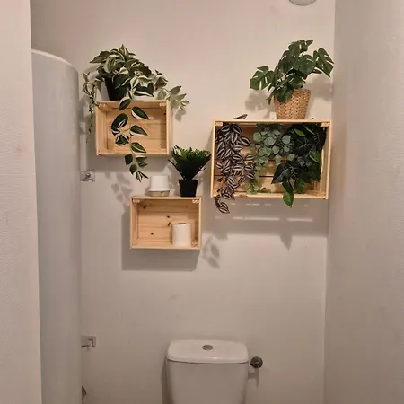 4 Voyageurs Avec Terrasse Et Wifi Apartment Carcassonne